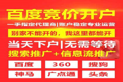 行业领先企业的SEM运营策略案例解析