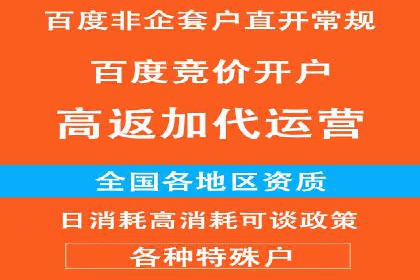 竞价端口开户成功助力企业增长